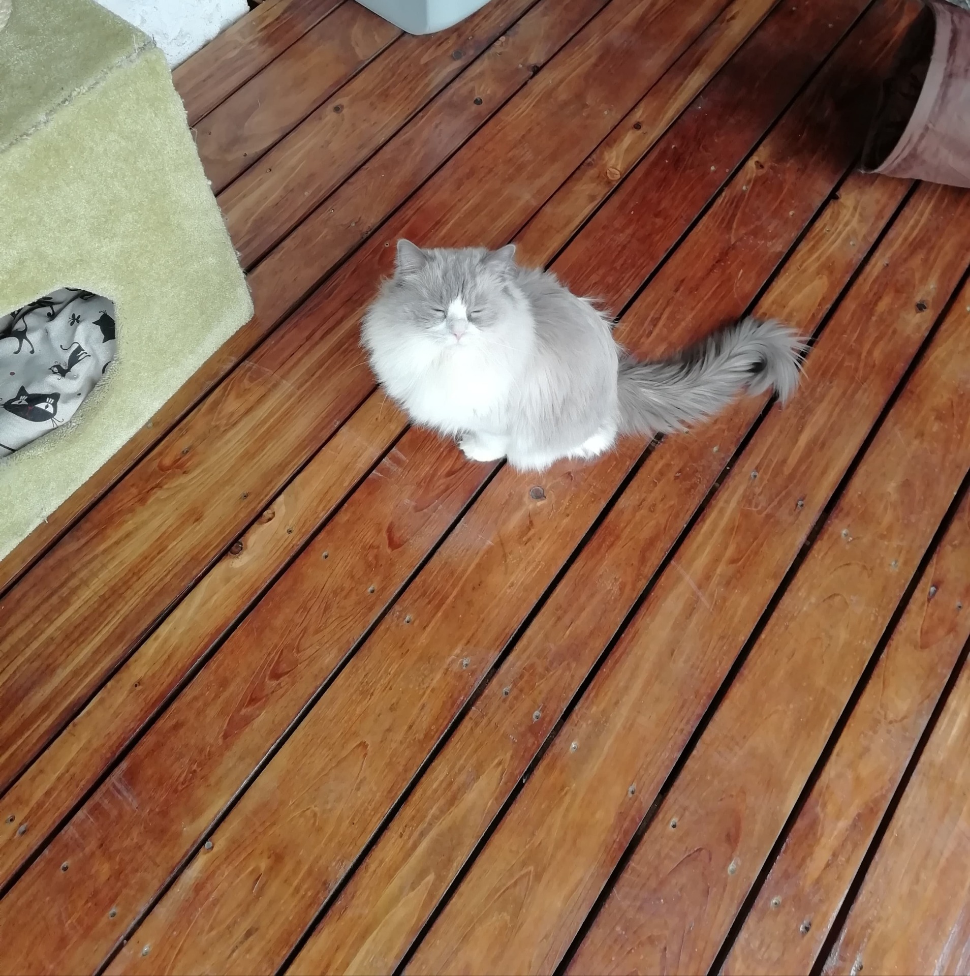 Zimča byl první, kdo testoval :-)